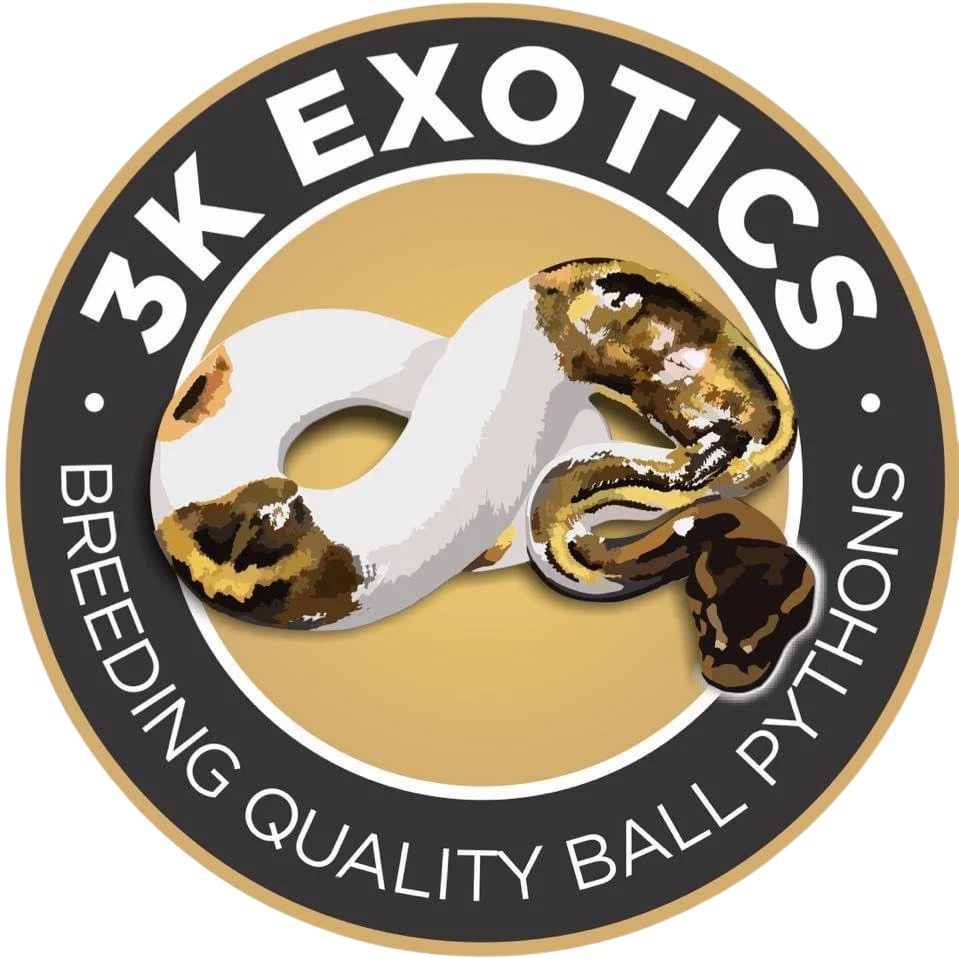 3k exotics logo